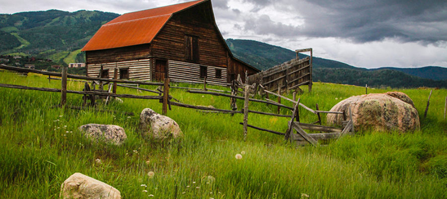 Top 3 Hiking Trails in Steamboat